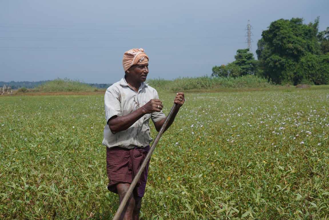 Google.org backs World Bank plan linking AI advice with farmer services