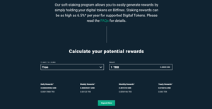 Bitfinex page - Image 3 from the project gallery