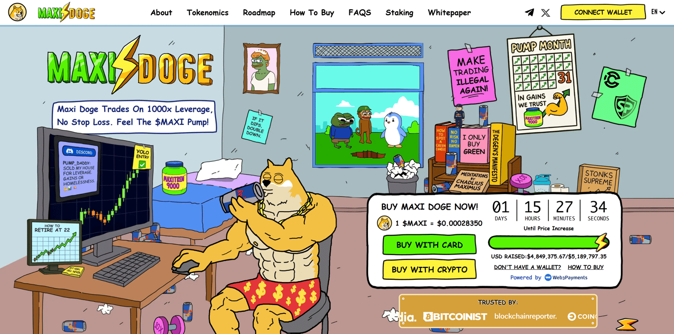 MaxiDoge page - Image 1 - the project featured image