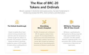 BRCStarter page - Image 0 from the project gallery