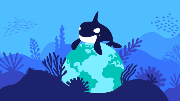 Background image for exchange Orca