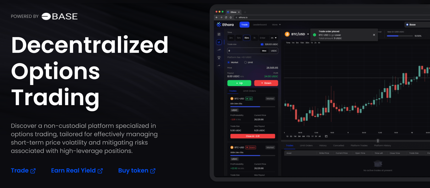 Ethora Finance page - Image 1 - the project featured image