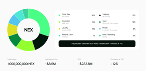Nexchain page - Image 1 from the project gallery