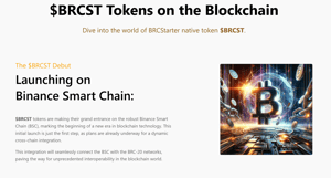 BRCStarter page - Image 1 from the project gallery