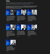 Tokenforge page - Image 2 from the project gallery