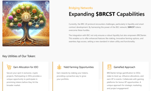 BRCStarter page - Image 2 from the project gallery