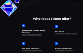 Ethora Finance page - Image 0 from the project gallery