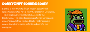 DonkyCoin page - Image 2 from the project gallery