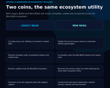 BlockDAG Network page - Image 0 from the project gallery