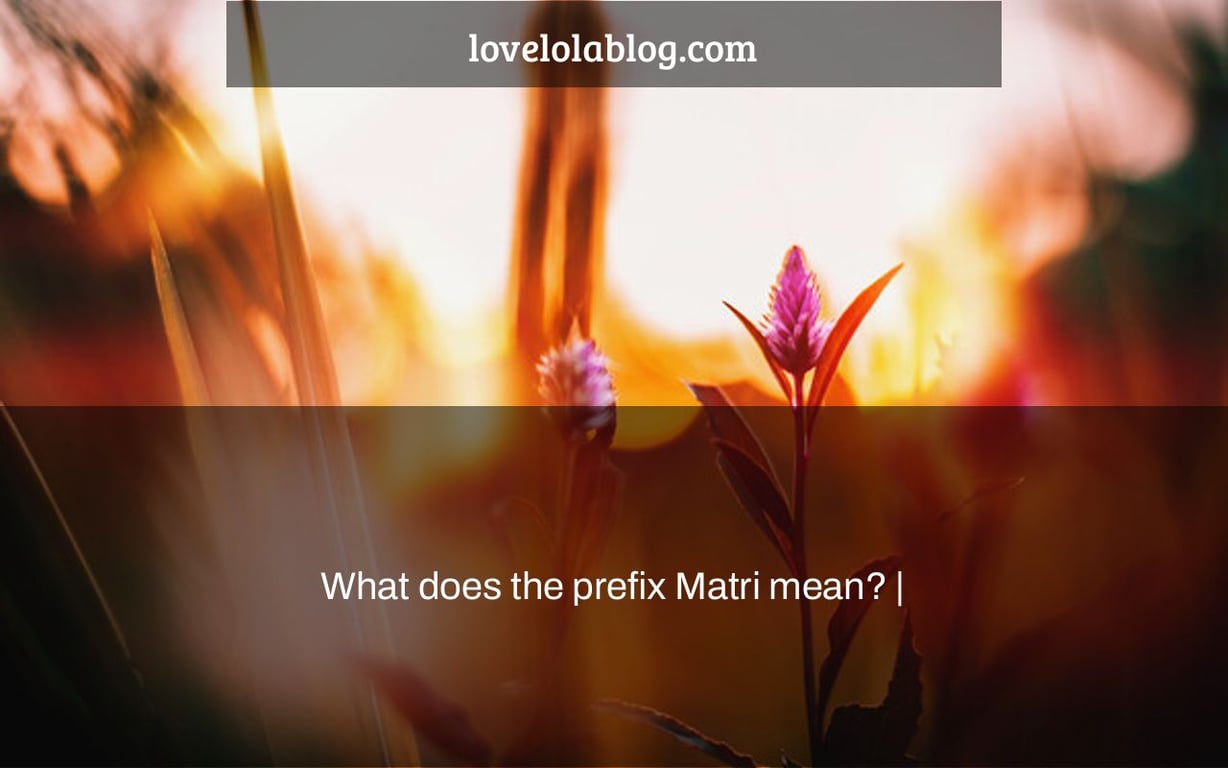 What does the prefix Matri mean? |