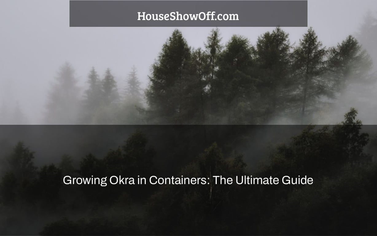 Growing Okra in Containers: The Ultimate Guide