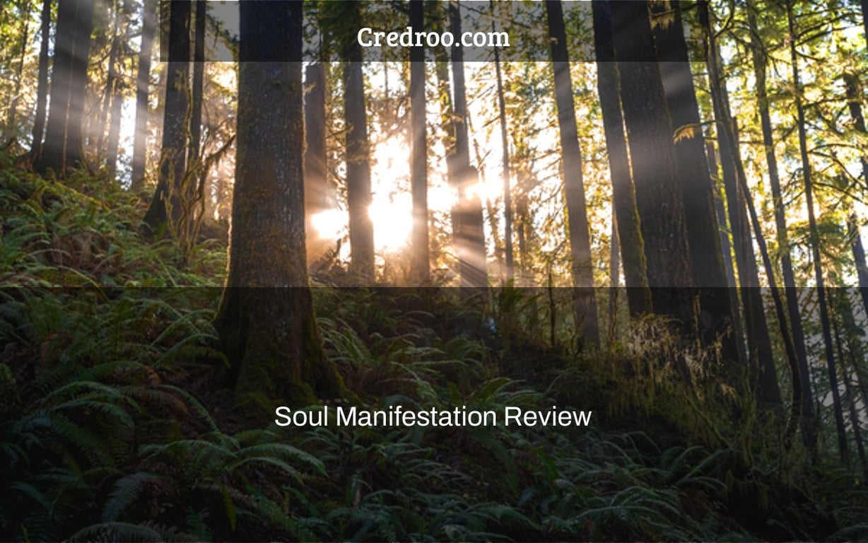 Soul Manifestation Review