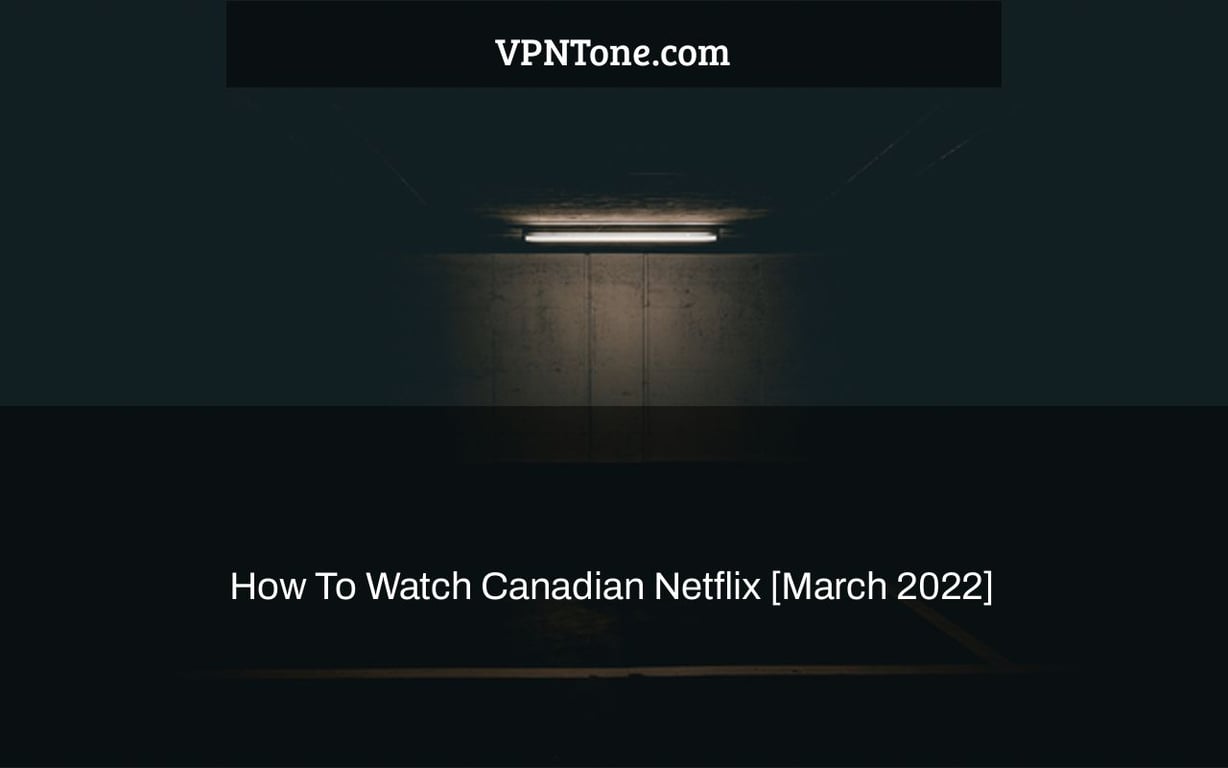 How To Watch Canadian Netflix [March 2022]