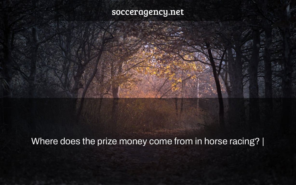 Where does the prize money come from in horse racing? |