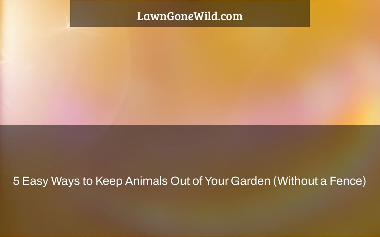 5 Easy Ways to Keep Animals Out of Your Garden (Without a Fence) Lawn