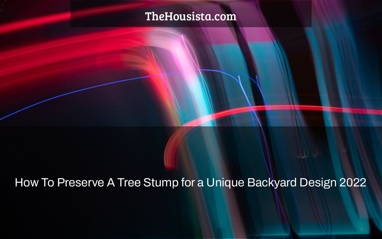 How To Preserve A Tree Stump for a Unique Backyard Design 2022