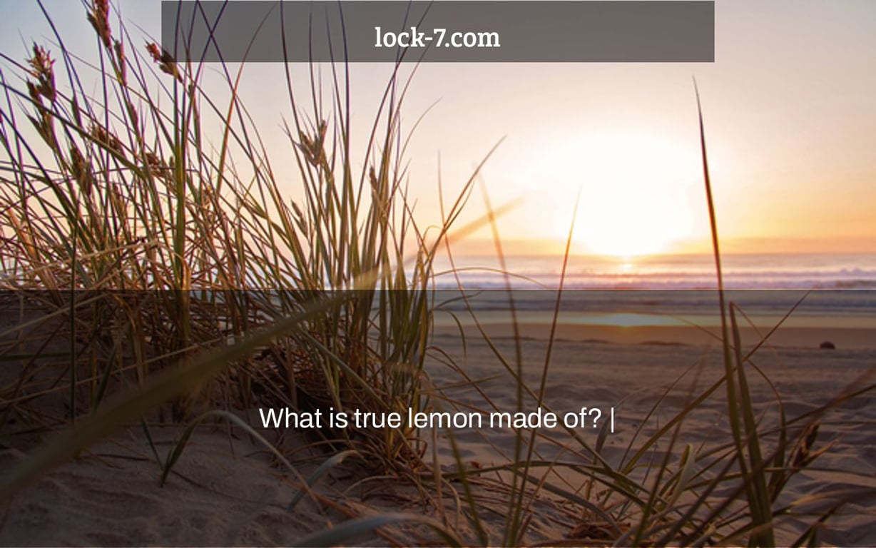 What is true lemon made of? |