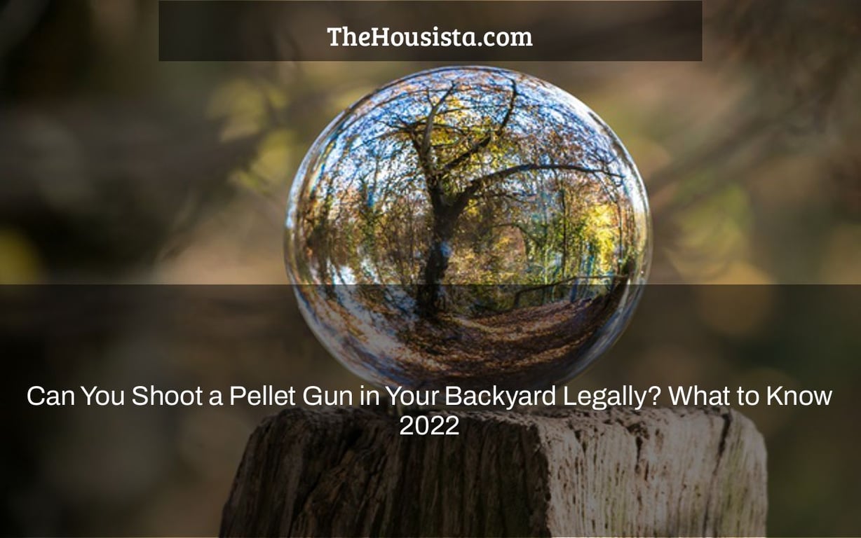 Can You Shoot a Pellet Gun in Your Backyard Legally? What to Know 2022