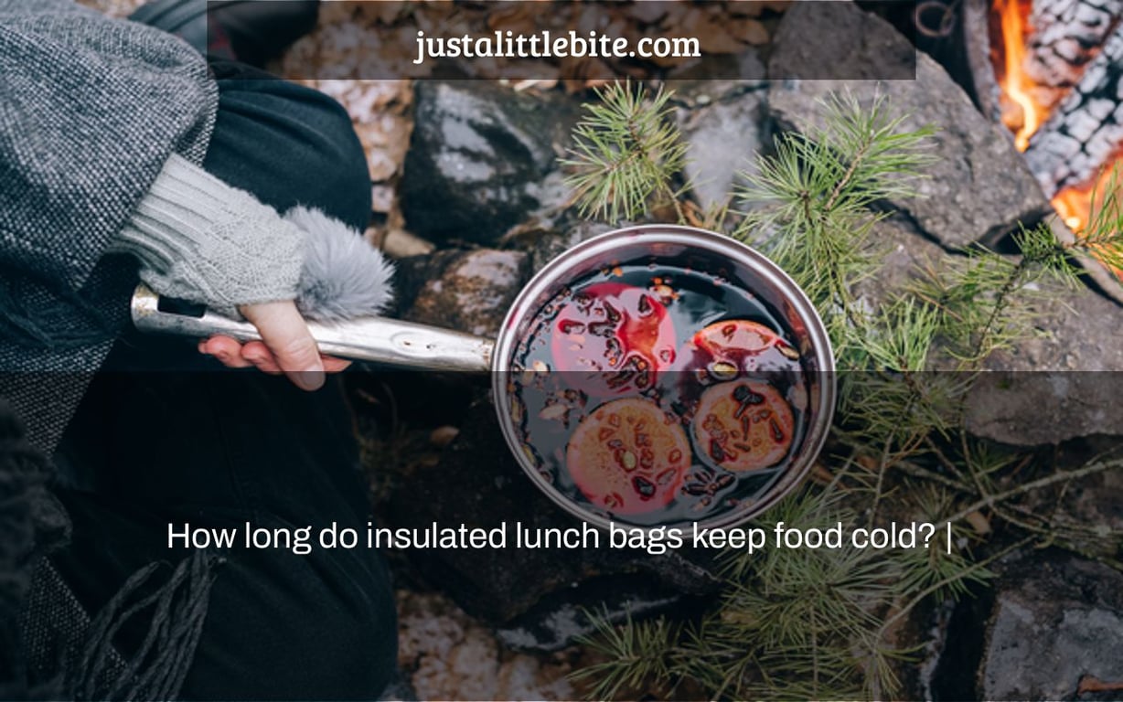 How long do insulated lunch bags keep food cold? |