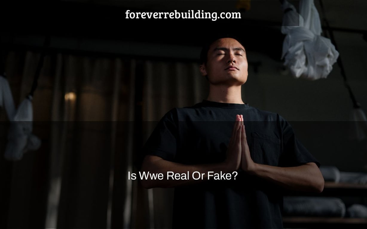 Is Wwe Real Or Fake?