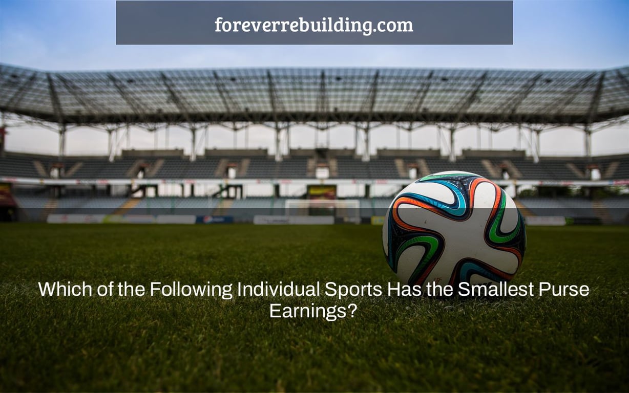 Which of the Following Individual Sports Has the Smallest Purse Earnings?