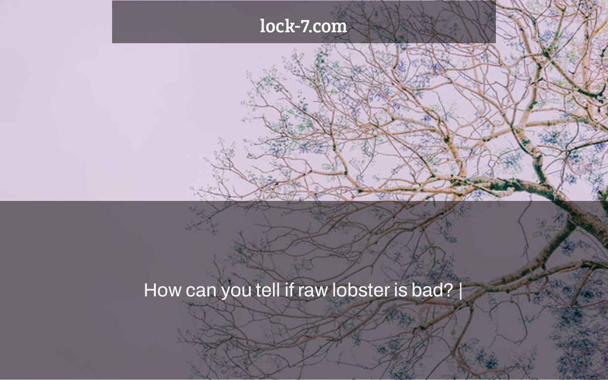 How can you tell if raw lobster is bad? |