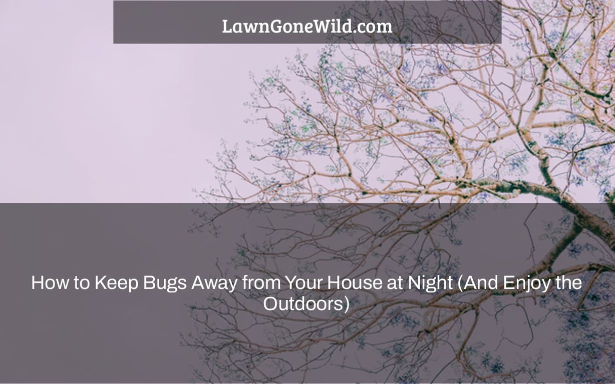 How to Keep Bugs Away from Your House at Night (And Enjoy the Outdoors