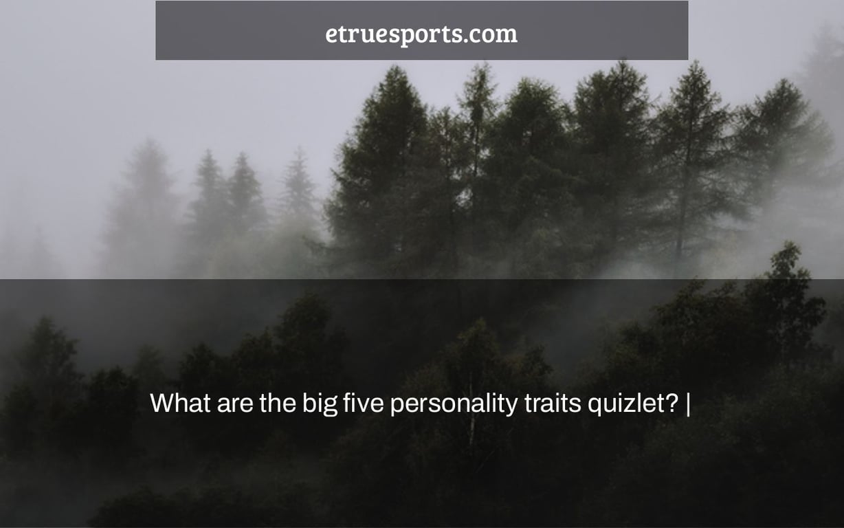 What are the big five personality traits quizlet? |