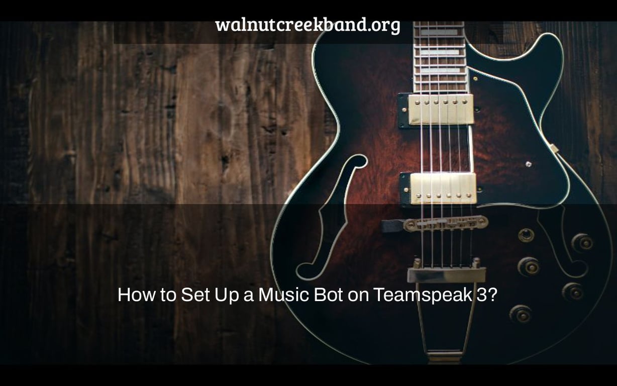 How to Set Up a Music Bot on Teamspeak 3?