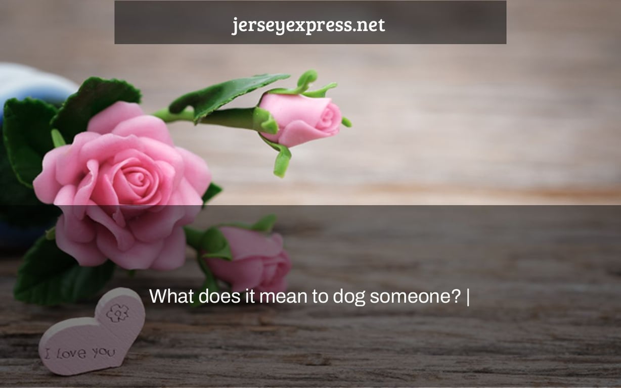 What does it mean to dog someone? |