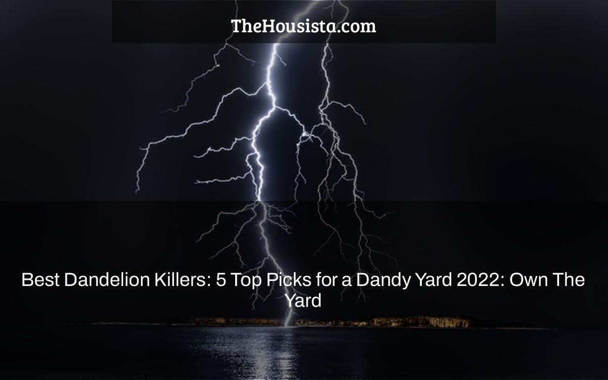 Best Dandelion Killers: 5 Top Picks for a Dandy Yard 2022: Own The Yard