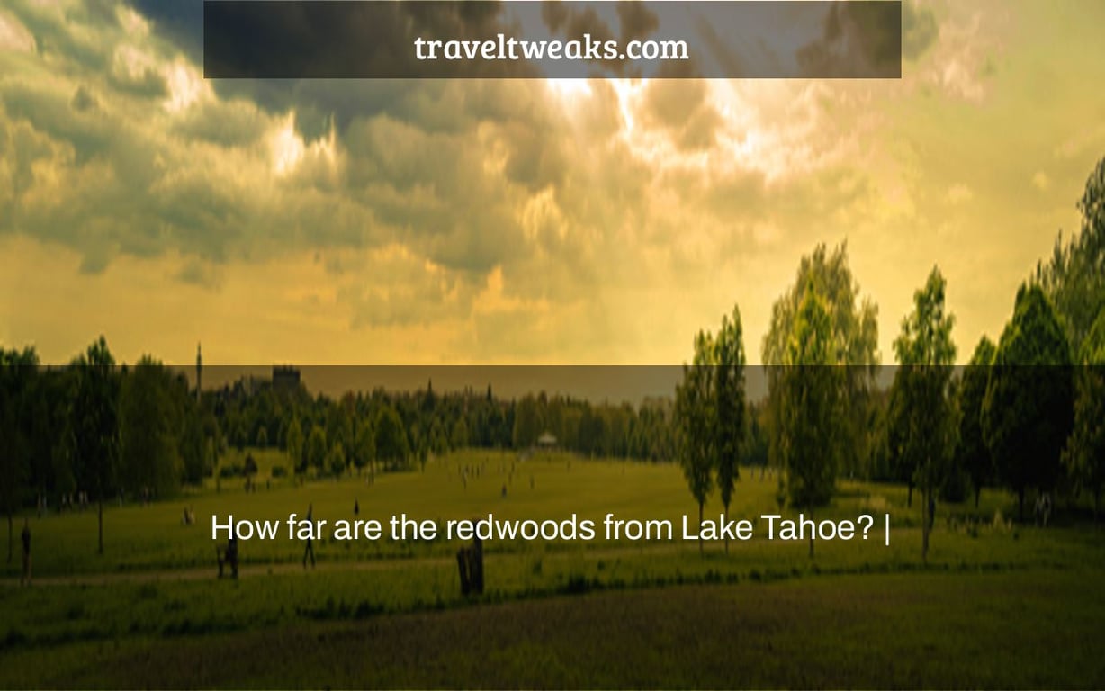 How far are the redwoods from Lake Tahoe? |