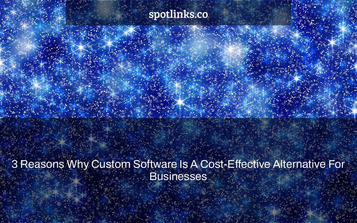 3 Reasons Why Custom Software Is A Cost-Effective Alternative For Businesses