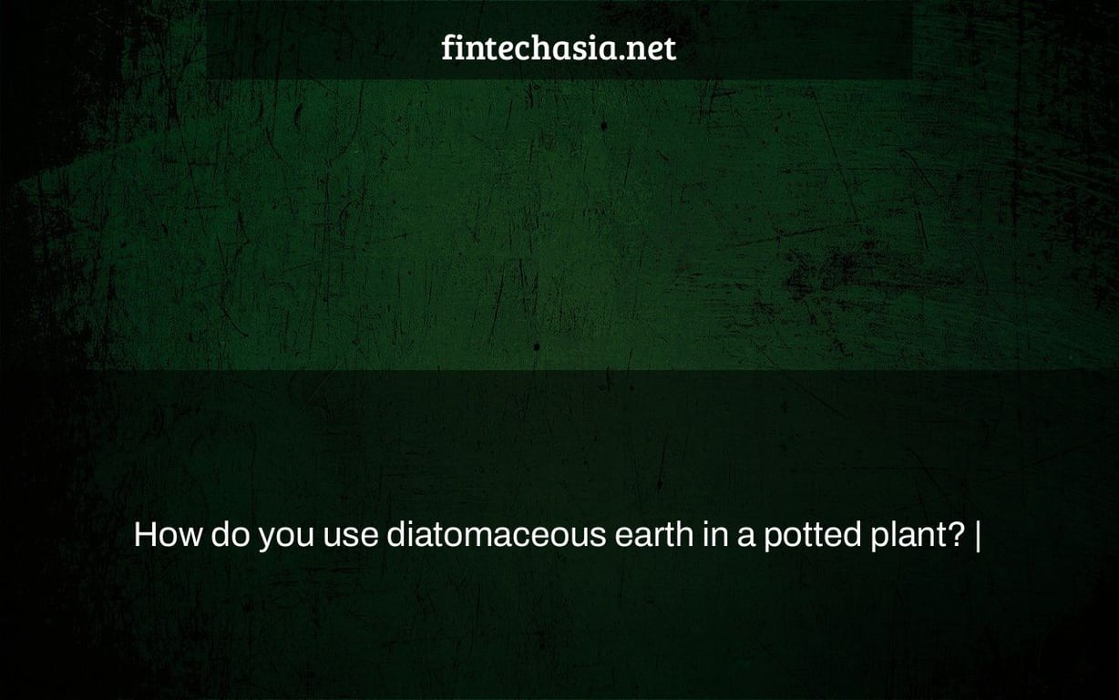 How do you use diatomaceous earth in a potted plant? |