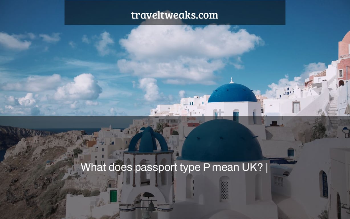 What does passport type P mean UK? |