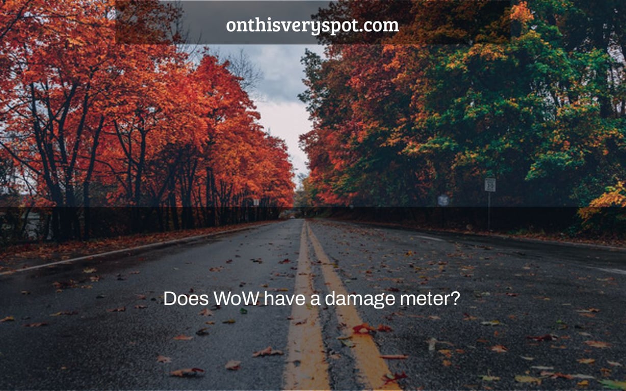 Does WoW have a damage meter?