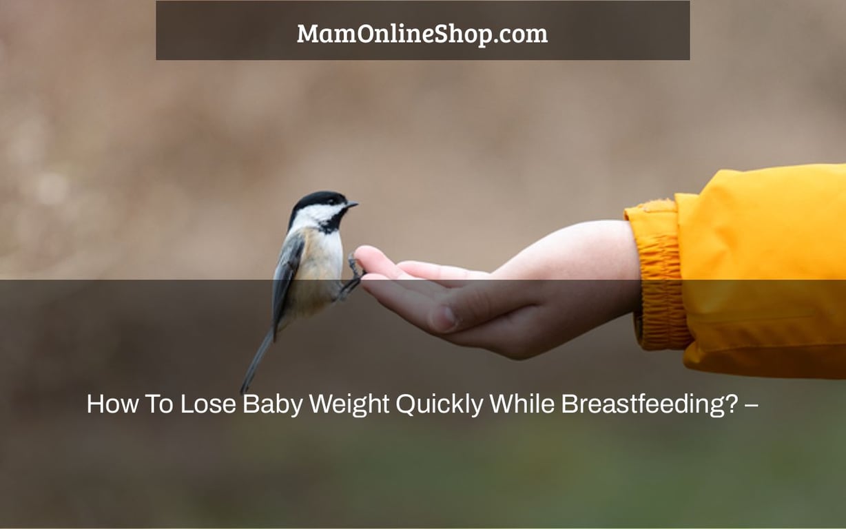 How To Lose Baby Weight Quickly While Breastfeeding? –