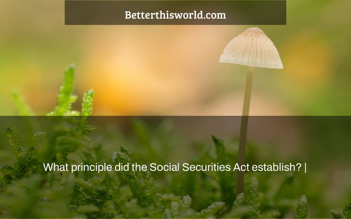What principle did the Social Securities Act establish? |