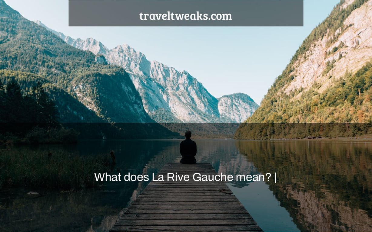 What does La Rive Gauche mean? |