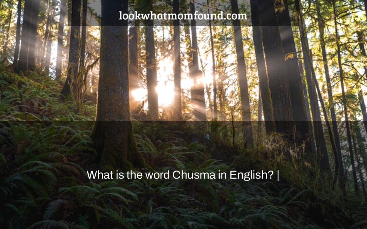 What is the word Chusma in English? |