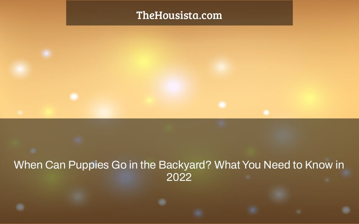 When Can Puppies Go in the Backyard? What You Need to Know in 2022