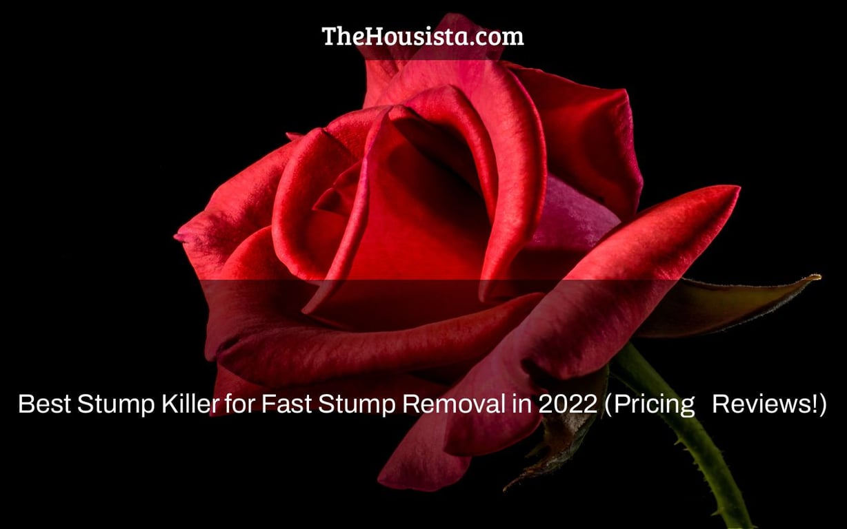 Best Stump Killer for Fast Stump Removal in 2022 (Pricing + Reviews!)