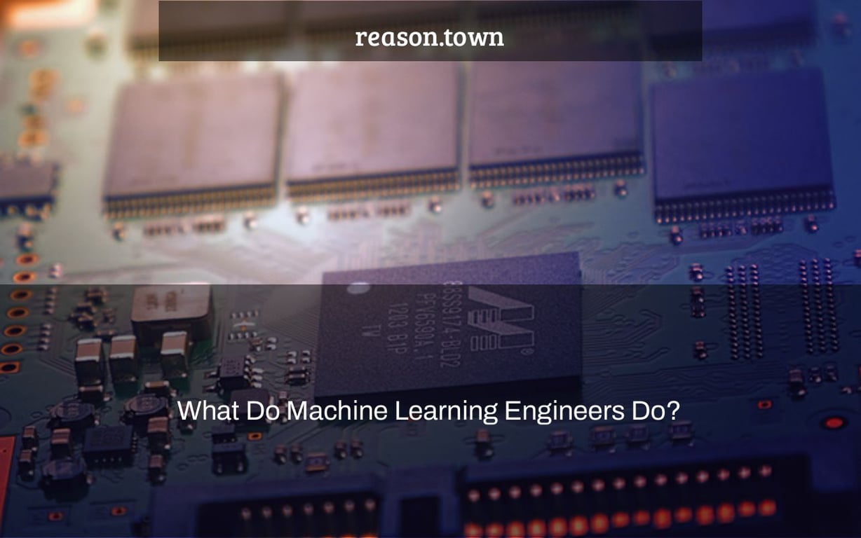 What Do Machine Learning Engineers Do?