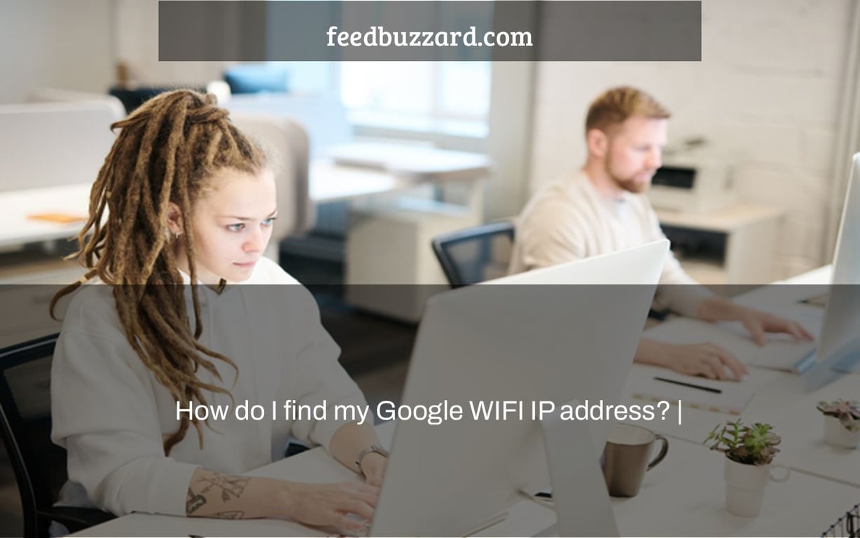 How do I find my Google WIFI IP address? |