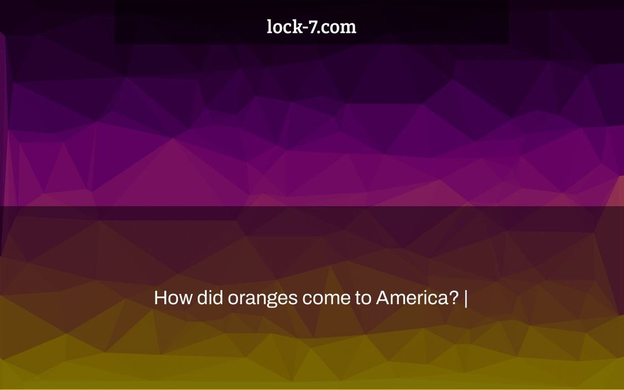 How did oranges come to America? Lock 7