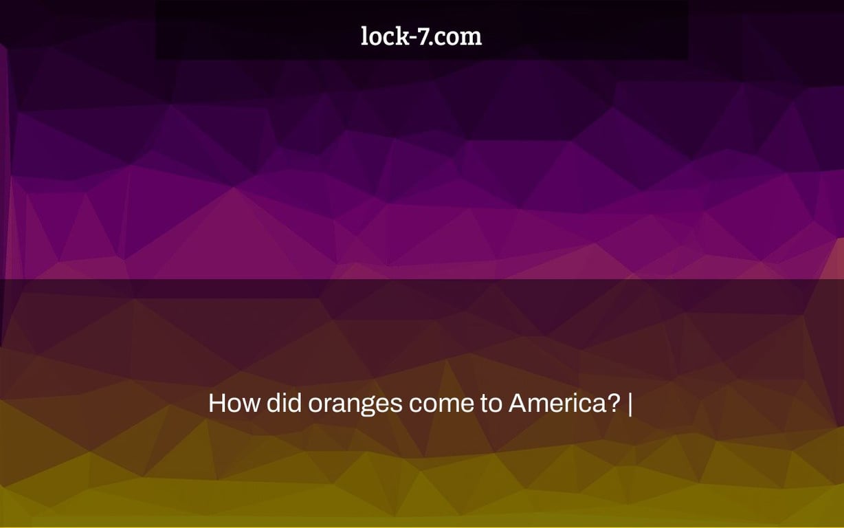 How did oranges come to America? |