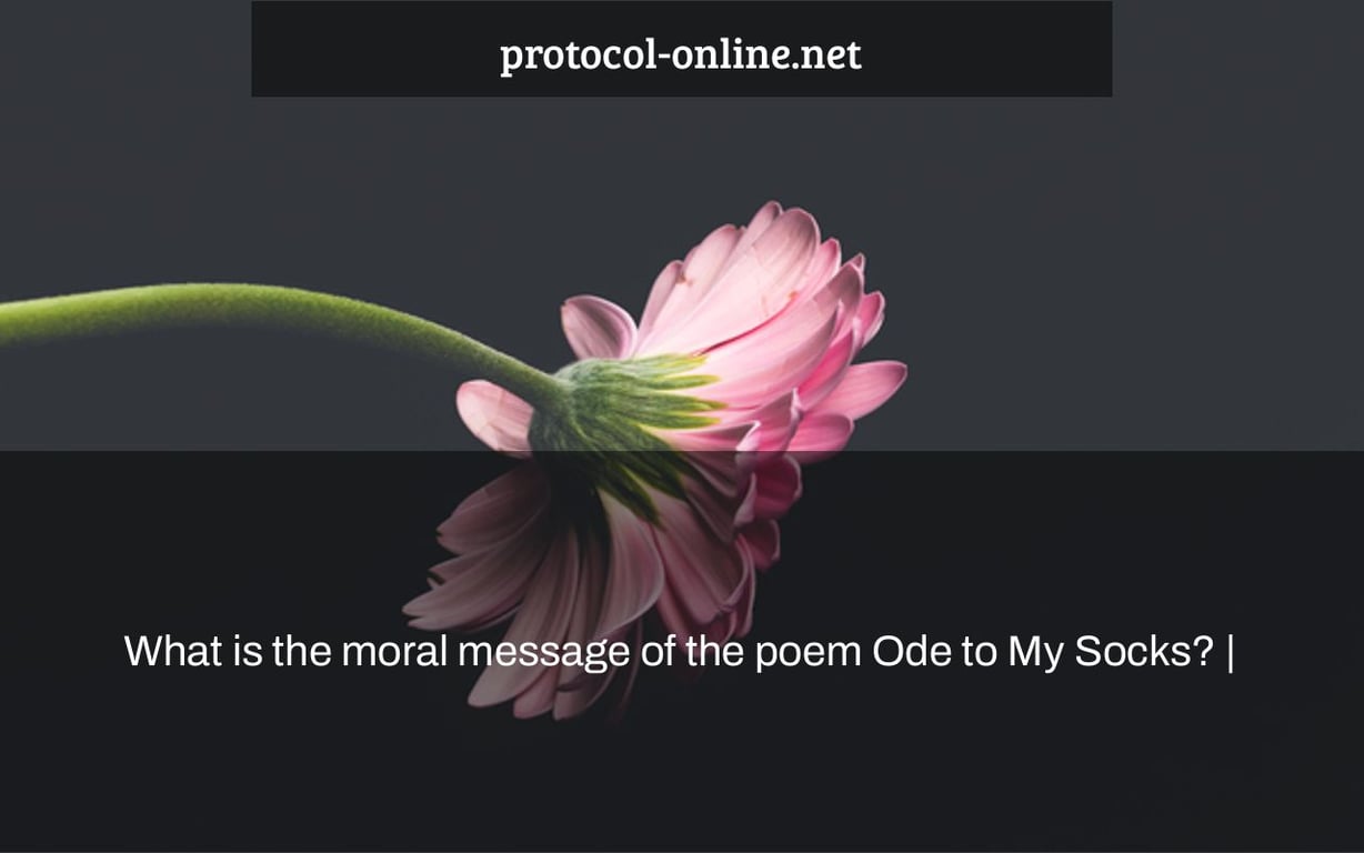 What is the moral message of the poem Ode to My Socks? |