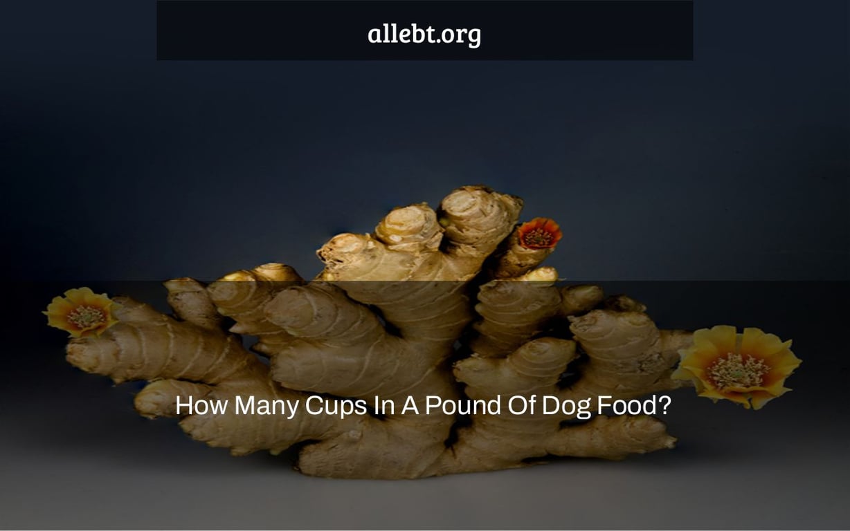 How Many Cups In A Pound Of Dog Food?