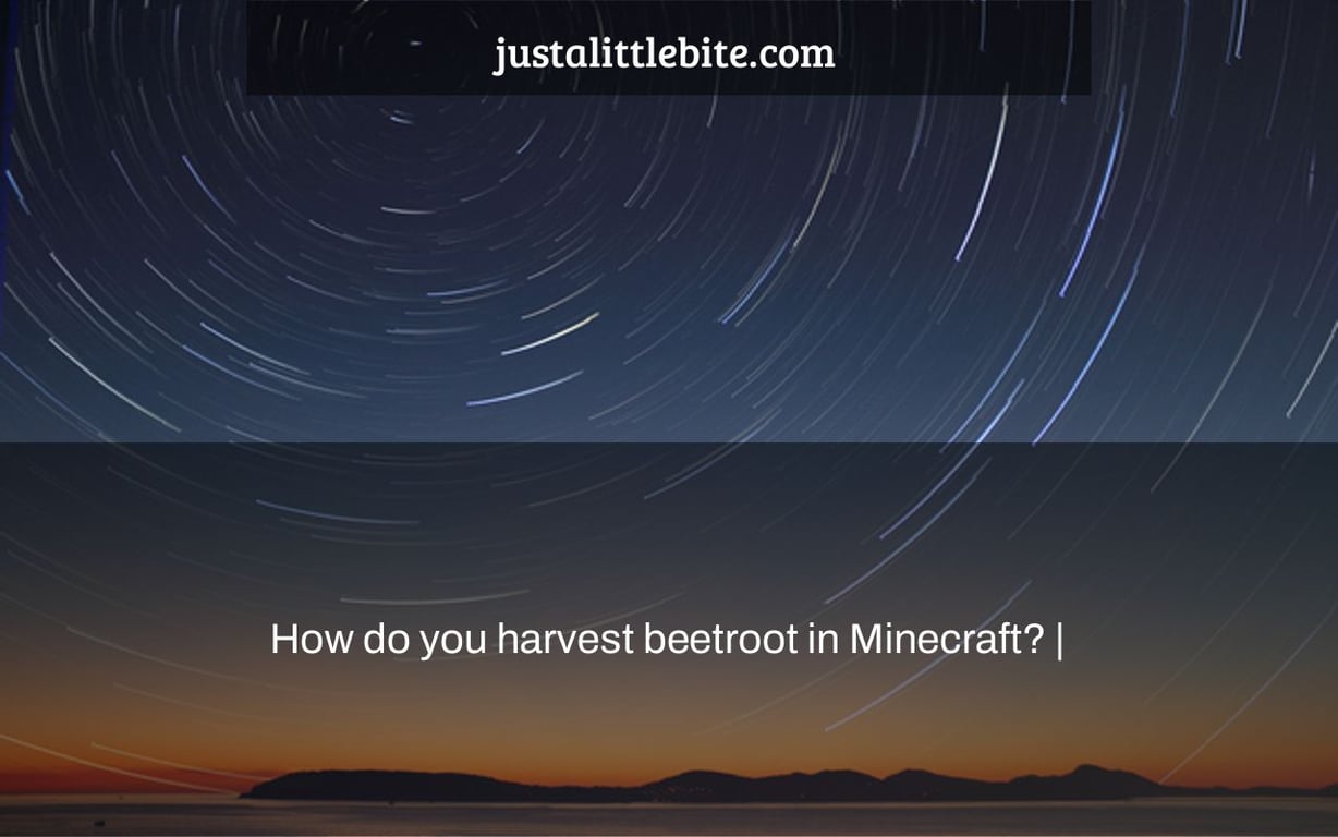 How do you harvest beetroot in Minecraft? |