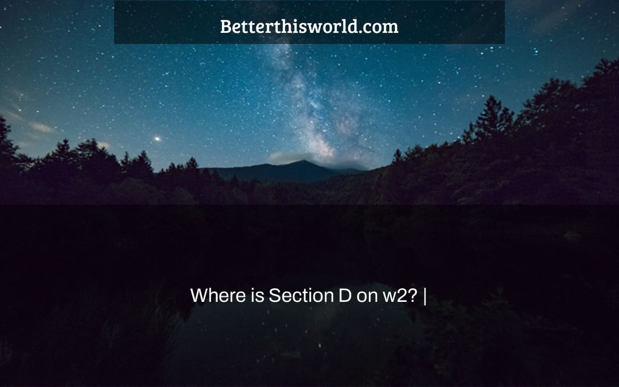 Where is Section D on w2? |